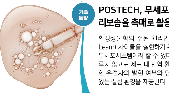 뉴스레터 섬네일