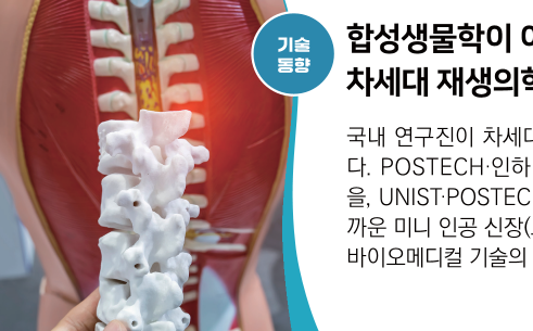 뉴스레터 섬네일