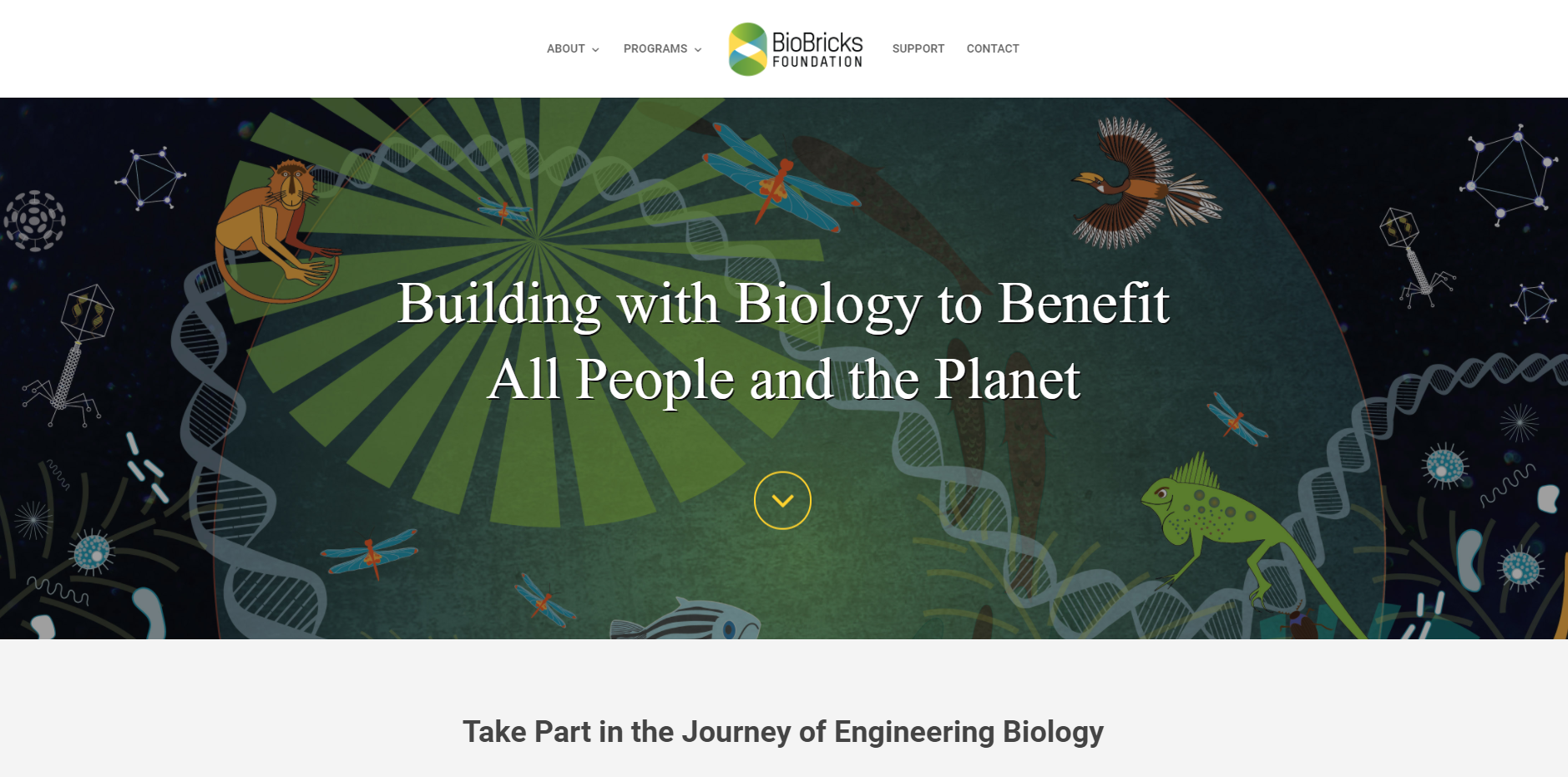 BioBricksFoundations.PNG