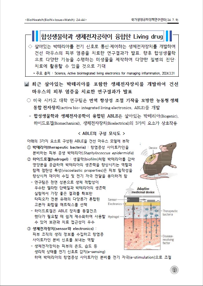 섬네일